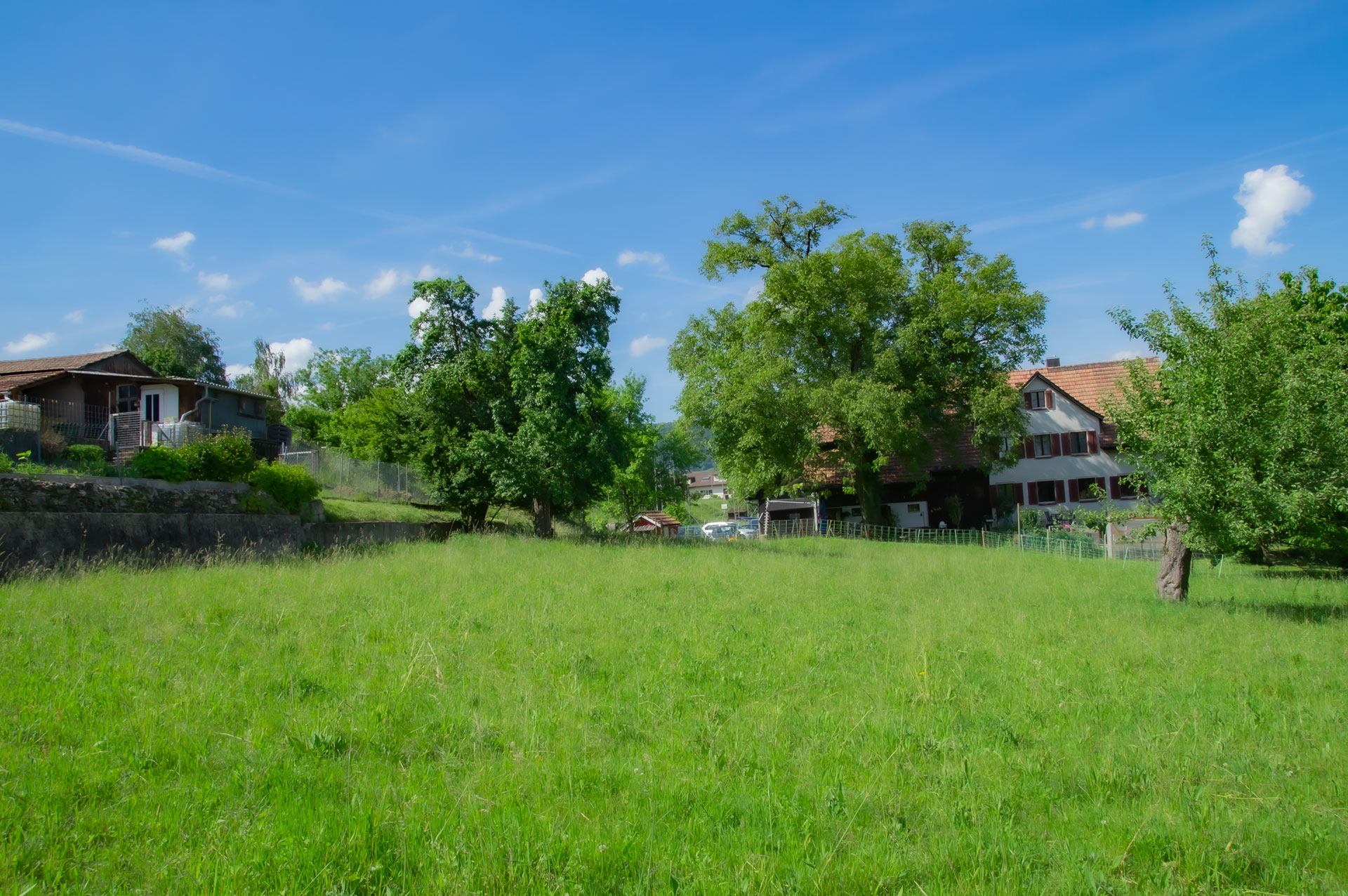 Bauland an bester Lage - Gösgerstrasse 74 - Erzbach Immobilien